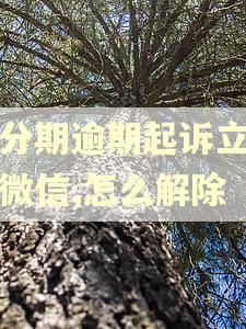 来分期逾期起诉立案封微信,怎么解除 来分期逾期起诉立案封微信,怎么解除