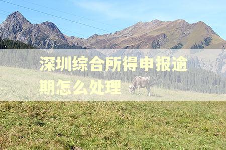 深圳综合所得申报逾期怎么处理