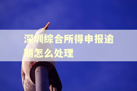深圳综合所得申报逾期怎么处理