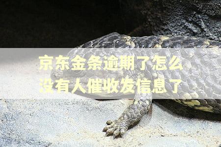 京东金条逾期了怎么没有人催收发信息了