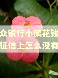 微众银行小鹅花钱逾期征信上怎么没有