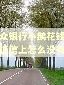 微众银行小鹅花钱逾期征信上怎么没有