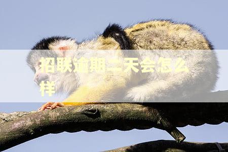 招联逾期二天会怎么样