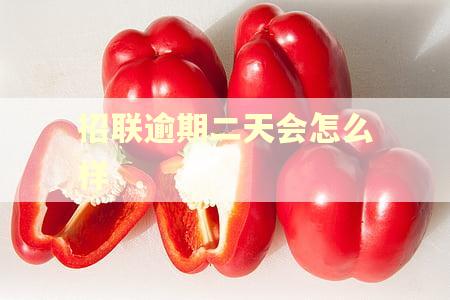 招联逾期二天会怎么样