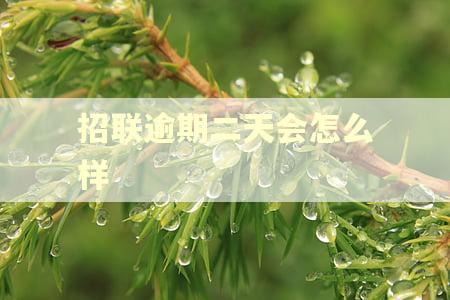 招联逾期二天会怎么样