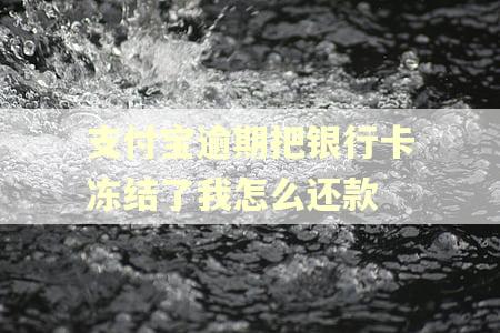 支付宝逾期把银行卡冻结了我怎么还款