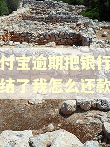 支付宝逾期把银行卡冻结了我怎么还款