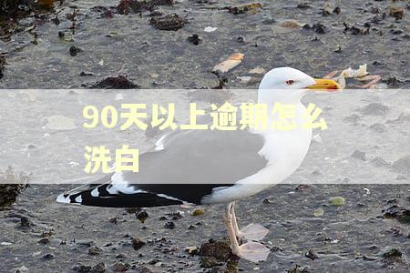 90天以上逾期怎么洗白