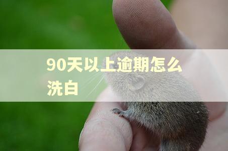 90天以上逾期怎么洗白