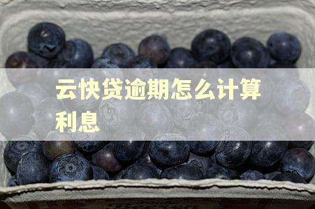云快贷逾期怎么计算利息