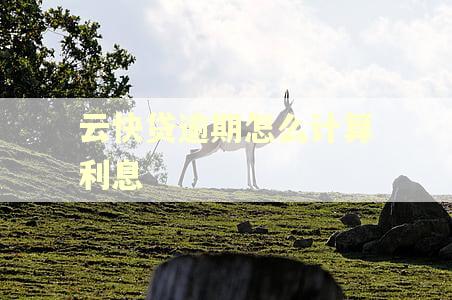 云快贷逾期怎么计算利息 云快贷逾期怎么计算利息