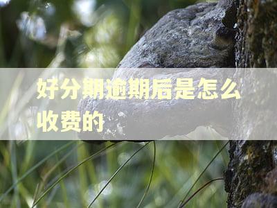 好分期逾期后是怎么收费的