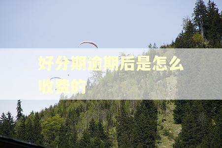 好分期逾期后是怎么收费的
