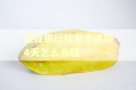 建设银行信用卡逾期4天怎么办理