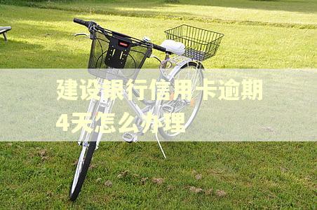 建设银行信用卡逾期4天怎么办理