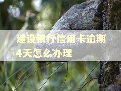 建设银行信用卡逾期4天怎么办理
