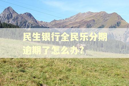 民生银行全民乐分期逾期了怎么办?