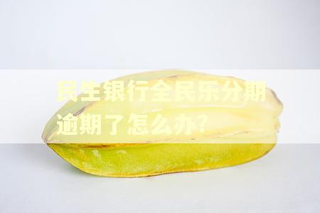 民生银行全民乐分期逾期了怎么办?
