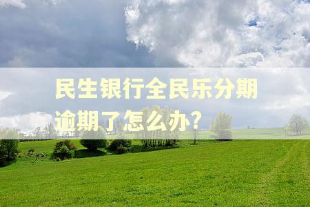 民生银行全民乐分期逾期了怎么办? 民生银行全民乐分期逾期了怎么办?