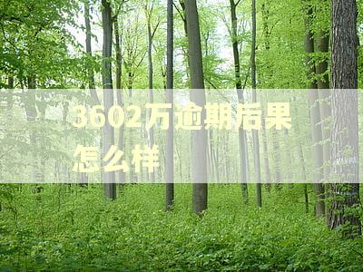 3602万逾期后果怎么样
