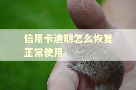 信用卡逾期怎么恢复正常使用 信用卡逾期怎么恢复正常使用
