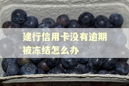 建行信用卡没有逾期被冻结怎么办 建行信用卡没有逾期被冻结怎么办