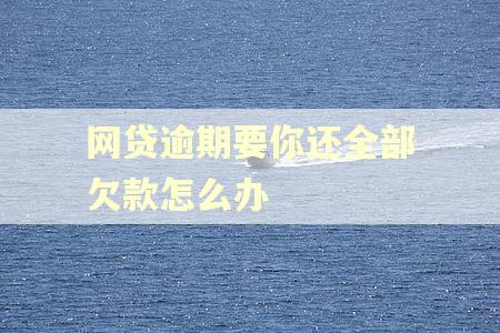 网贷逾期要你还全部欠款怎么办