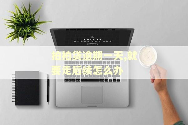 拍拍贷逾期一天,就要走后续怎么办