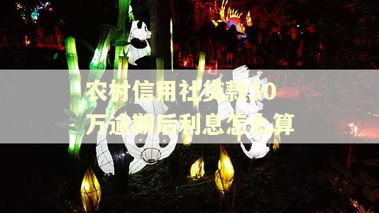 农村信用社贷款30万逾期后利息怎么算
