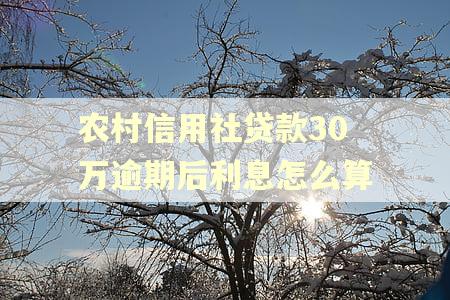 农村信用社贷款30万逾期后利息怎么算