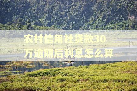 农村信用社贷款30万逾期后利息怎么算 农村信用社贷款30万逾期后利息怎么算