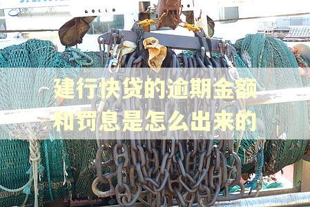 建行快贷的逾期金额和罚息是怎么出来的