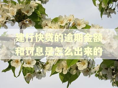 建行快贷的逾期金额和罚息是怎么出来的