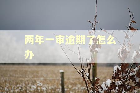 两年一审逾期了怎么办