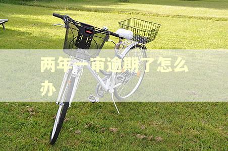 两年一审逾期了怎么办