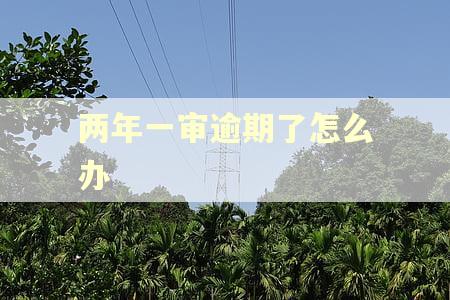 两年一审逾期了怎么办