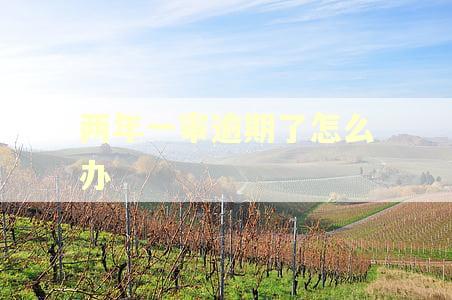 两年一审逾期了怎么办 两年一审逾期了怎么办