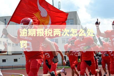 逾期报税两次怎么处罚