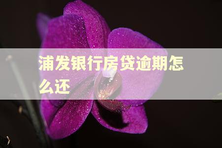 浦发银行房贷逾期怎么还