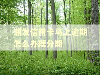 浦发信用卡马上逾期怎么办理分期 浦发信用卡马上逾期怎么办理分期