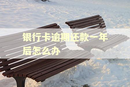 银行卡逾期还款一年后怎么办