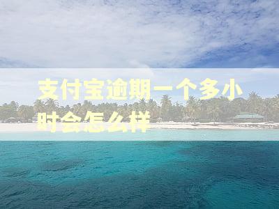 支付宝逾期一个多小时会怎么样
