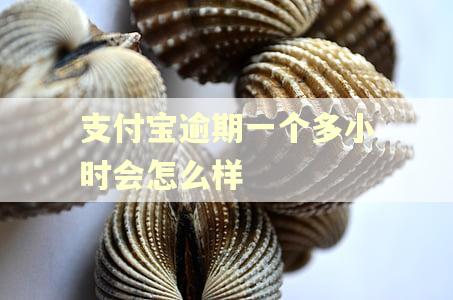 支付宝逾期一个多小时会怎么样