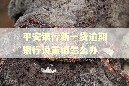 平安银行新一贷逾期银行说重组怎么办