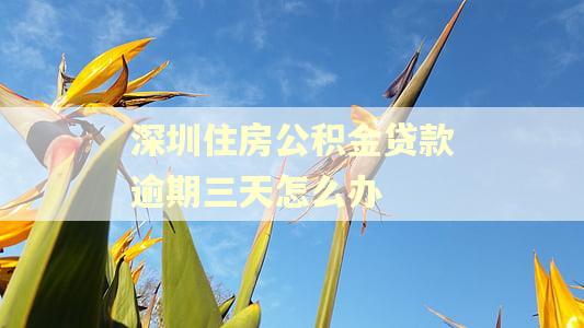深圳住房公积金贷款逾期三天怎么办