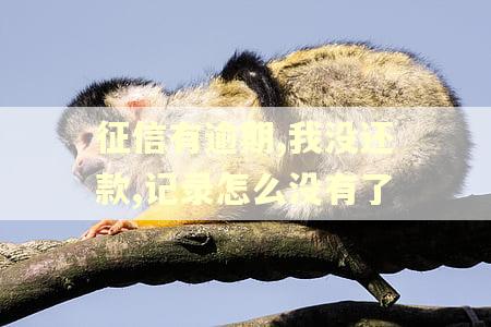 征信有逾期,我没还款,记录怎么没有了