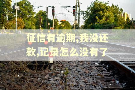 征信有逾期,我没还款,记录怎么没有了
