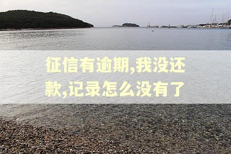 征信有逾期,我没还款,记录怎么没有了