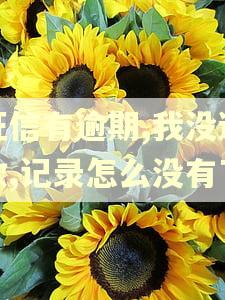 征信有逾期,我没还款,记录怎么没有了 征信有逾期,我没还款,记录怎么没有了