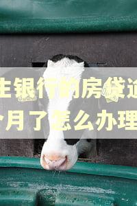 民生银行的房贷逾期3个月了怎么办理